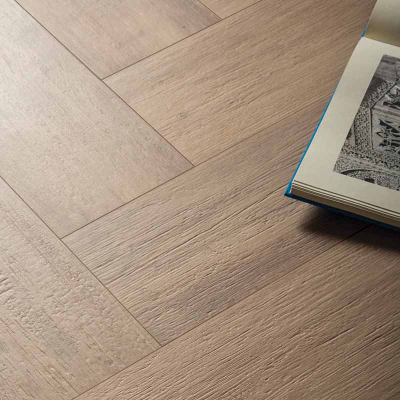 Caesar Vibe Rovere