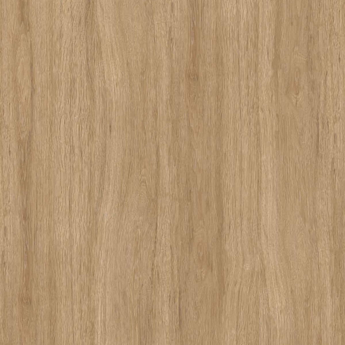 Sant Agostino S-wood Gold