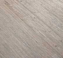 Atlas Concorde Axi Silver Fir