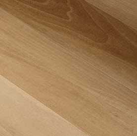 Caesar Life Oak