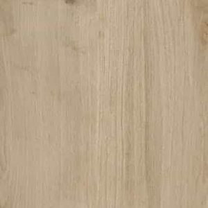Sant agostino Primewood Nut