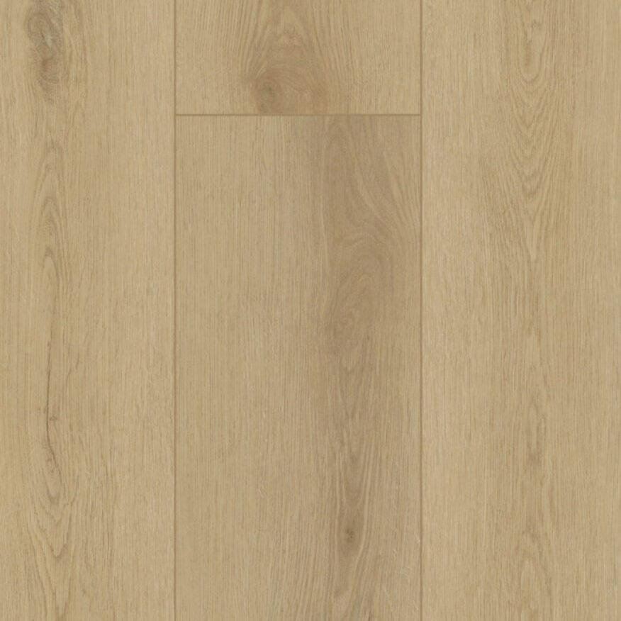 Firmfit 6500 Sierra Light