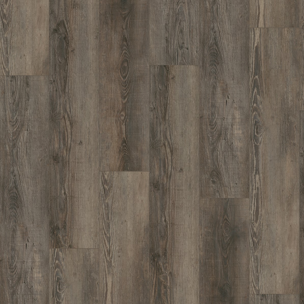 City 5605 Olympia Pine Brown